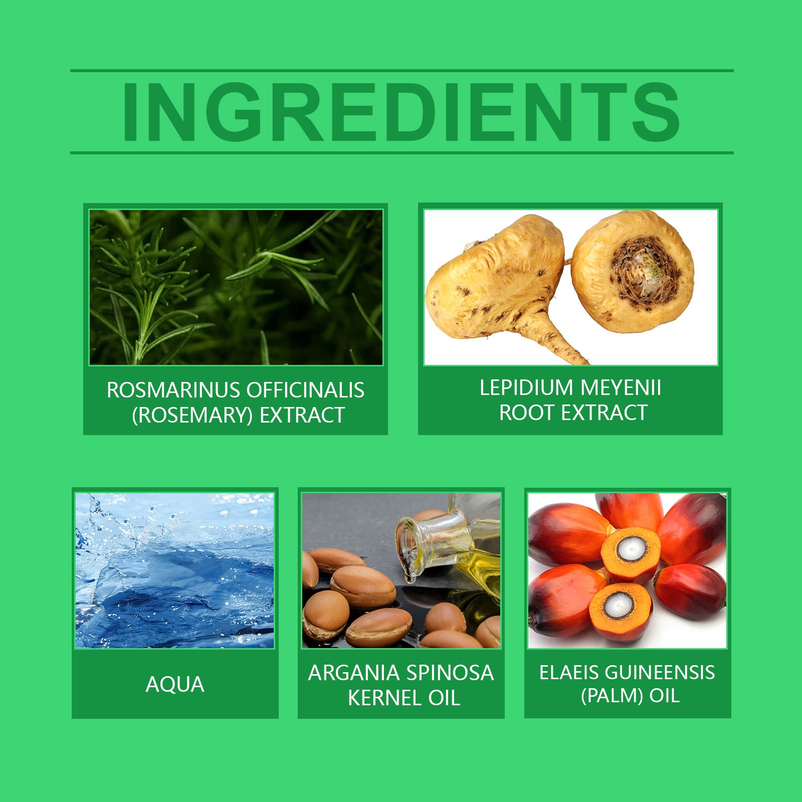 Hoegoa Argan Hair Care Essential Oil, Improves Dry And Split Hair And Nourishes Hair Care Essential Oil