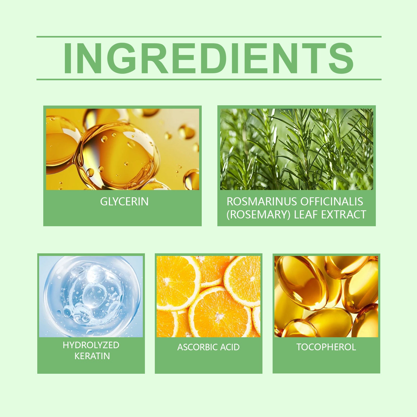 Hoegoa Rosemary Thickening Shampoo, Plant-Based Oil Control Nourishing Moisturizing Repair Fluffy Refreshing Shampoo